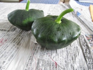 IMG_1092.jpg