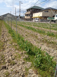 image-20120330125852.png