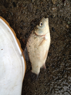 image-20120621215535.png